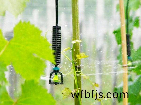 弔掛微(wei)噴(pen)