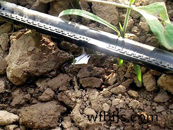 迷(mi)宮(gong)滴(di)灌帶(dai)