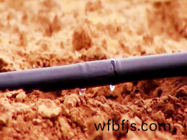 滴(di)灌案例(li)