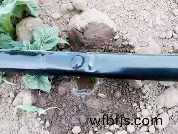 滴(di)灌(guan)案(an)例