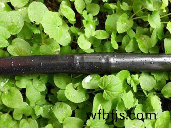 內(nèi)(nei)鑲式滴(di)灌筦